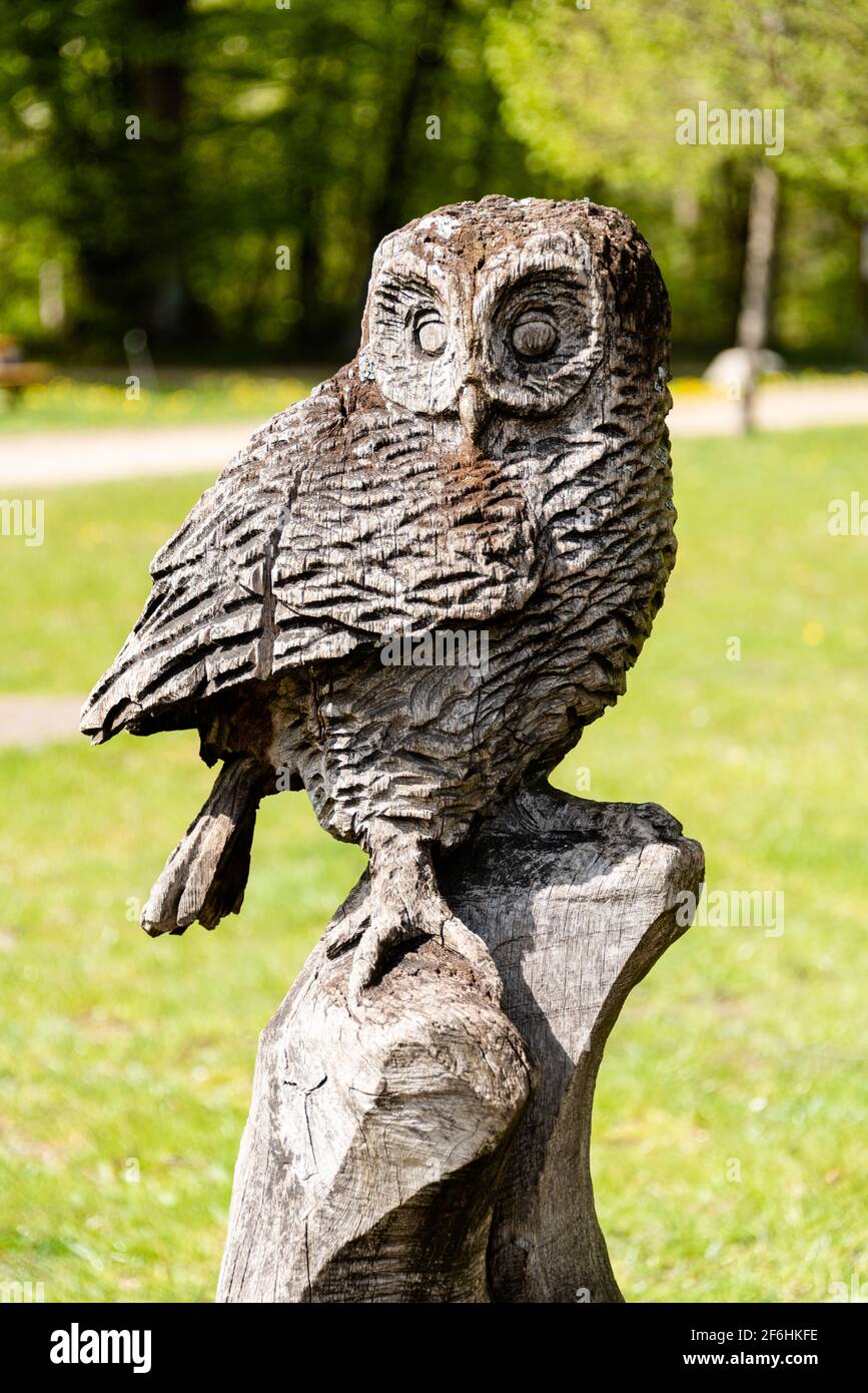 Der Erlebnis Wald Trappenkamp bietet auf mehr als 100 Hektar Wildgehege und Erlebnispfade ein einmaliges Naturerlebnis Stock Photo