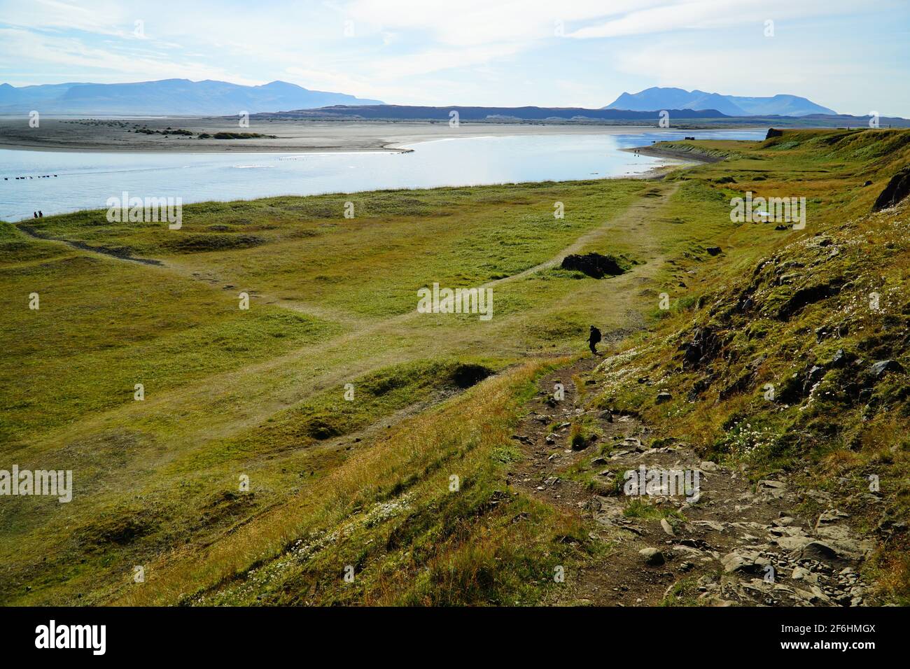 Landscape with lots of green grass near the ozean on an Island of Iceland Stock Photo