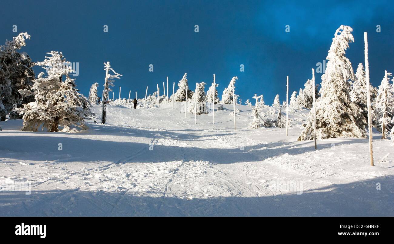 view of crosscountry skiing way and mount Serak - Jesenik mountains- Moravia - Czech republic Stock Photo