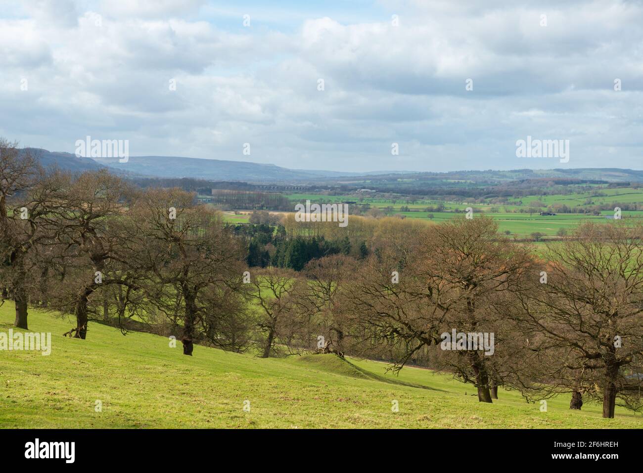 Spring view of Lower Wharfedale from one of the walking routes through the Harewood Estate in West Yorkshire Stock Photo