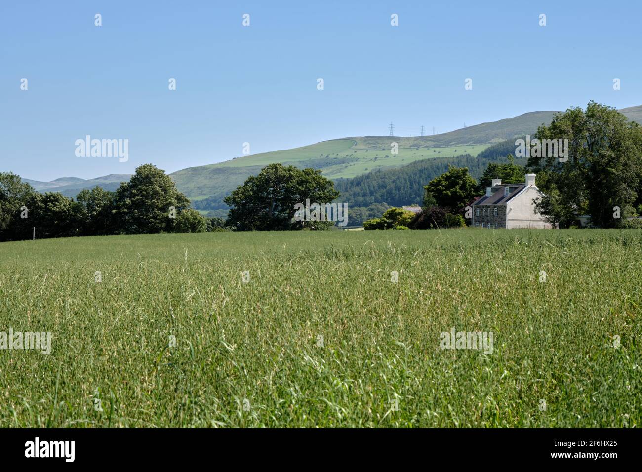 A remote farmhouse in an idyllic location on the hills surrounding Bangor, Wales Stock Photo