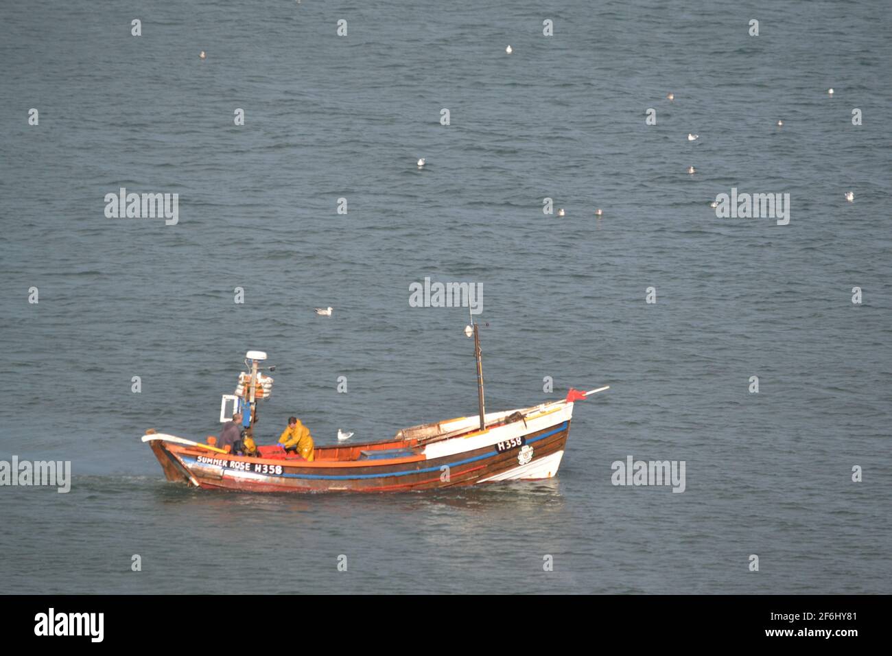 Fishing Boat In The North Sea Off Flamborough Head - Sunny Day - Birds After Food - Yorkshire - UK Stock Photo