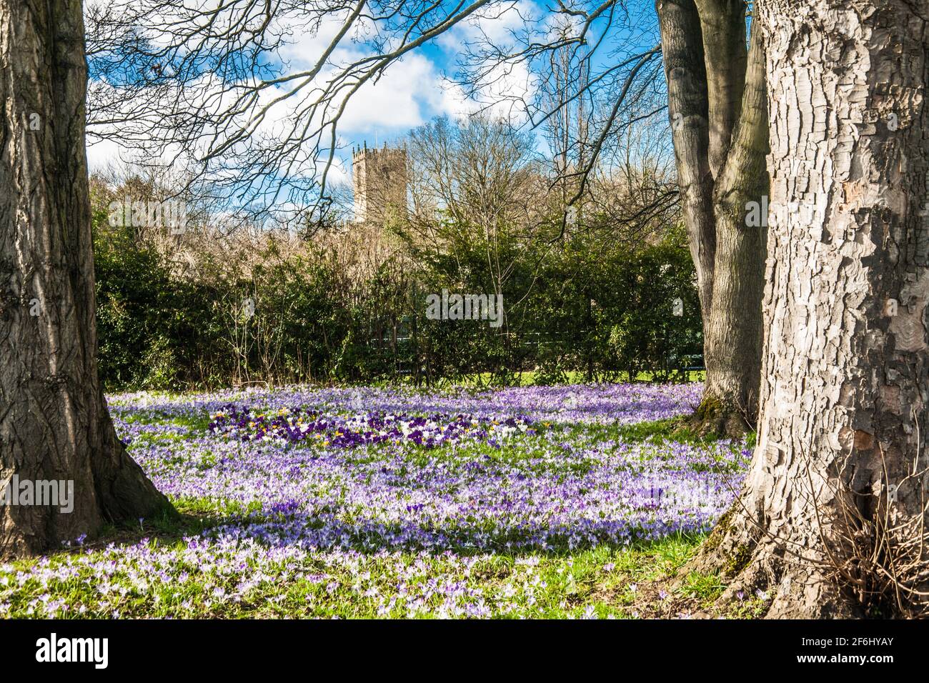 blanket on the Ground  Raymond Boswell Stock Photo