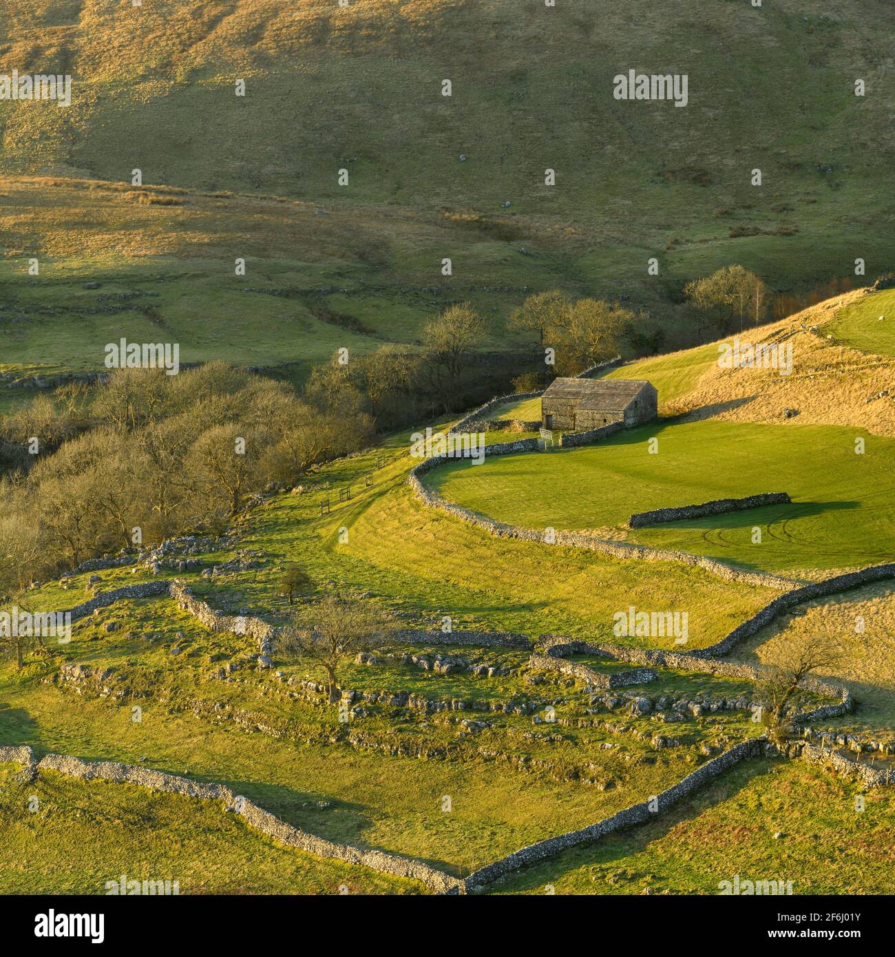 Scenic sunny Wharfedale landscape (upland fells, stone barn, steep hillside slopes, limestone walls, grazing pastures) - Yorkshire Dales, England UK. Stock Photo