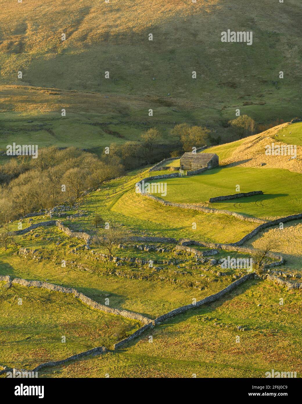 Scenic sunny Wharfedale landscape (upland fells, stone barn, steep hillside slopes, limestone walls, grazing pastures) - Yorkshire Dales, England UK. Stock Photo