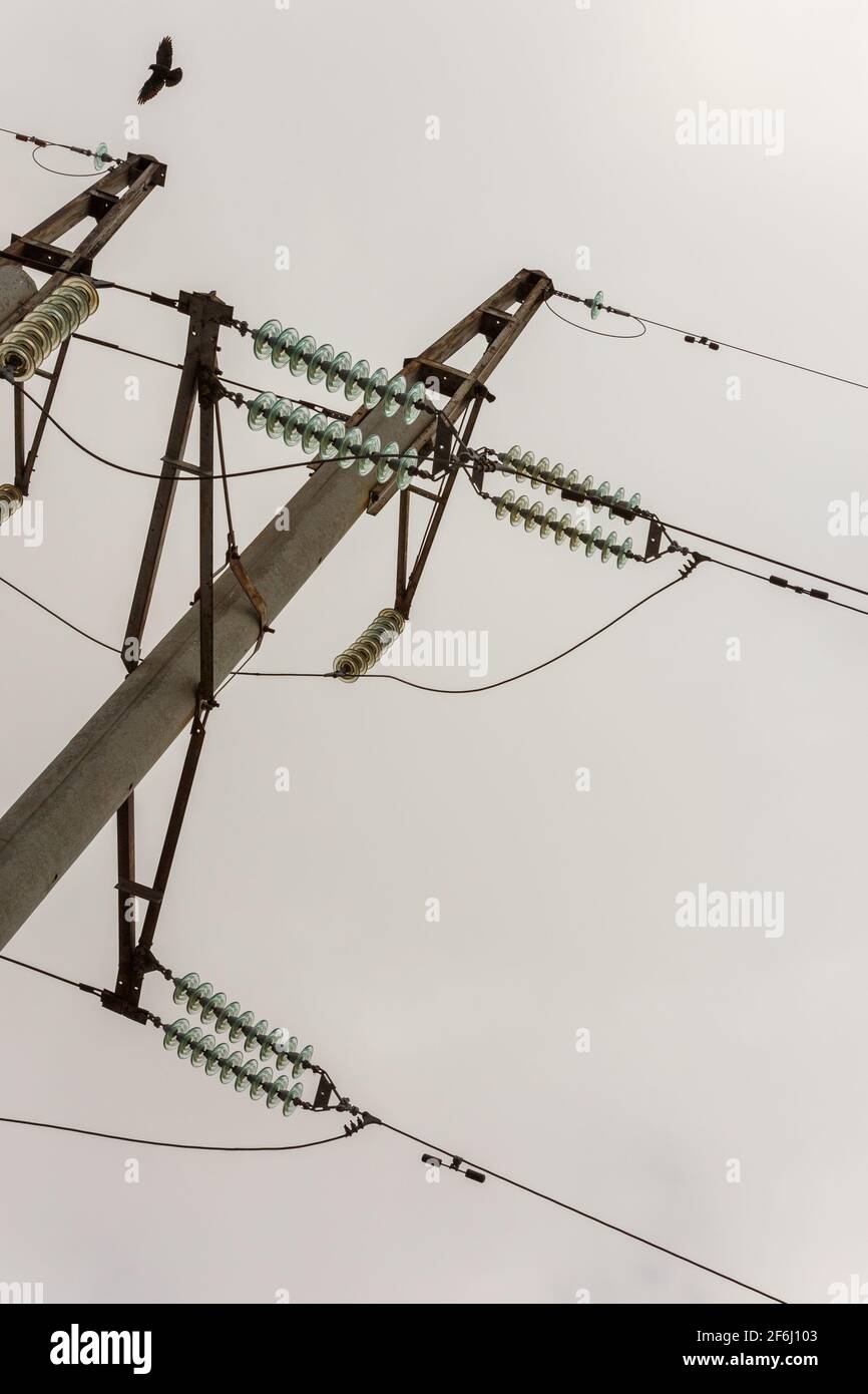 Una fila de destornilladores eléctricos en una junta de sombra, REINO UNIDO  Fotografía de stock - Alamy