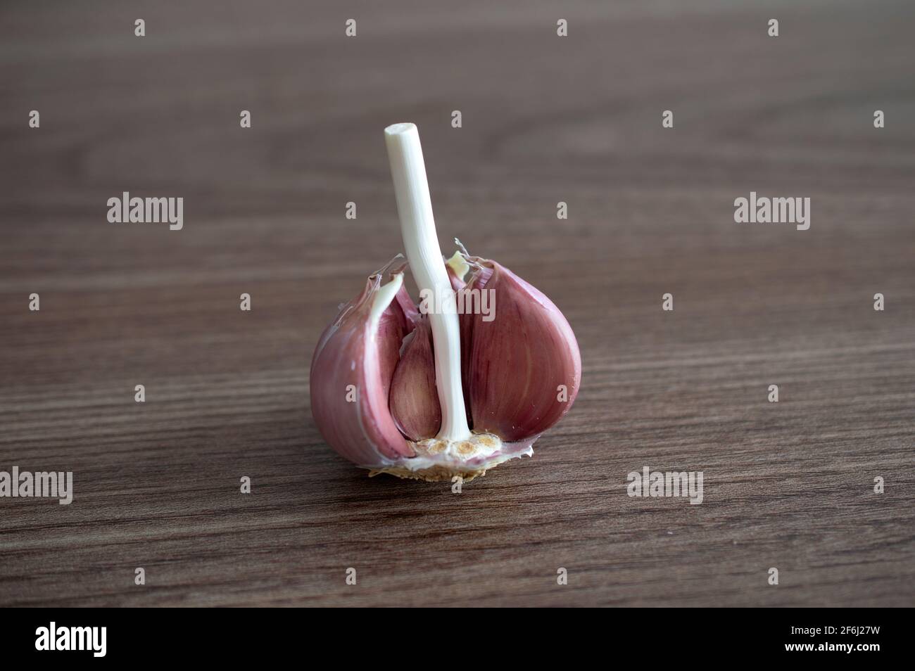 Garlic bulb and cloves over wood background Stock Photo - Alamy