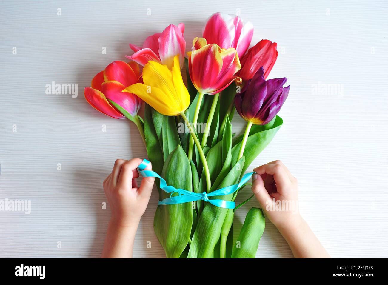 Bright bouquet of multicolored tulips. Children's hands tie a bouquet of tulips with a blue ribbon. Spring background. Stock Photo