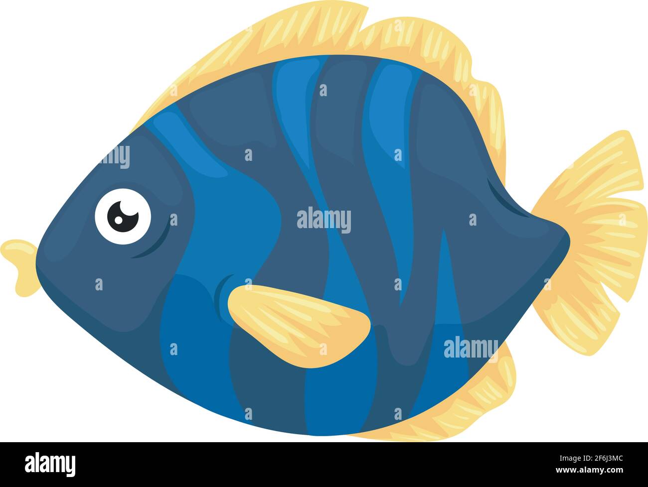 fish sealife animal Stock Vector Image & Art - Alamy
