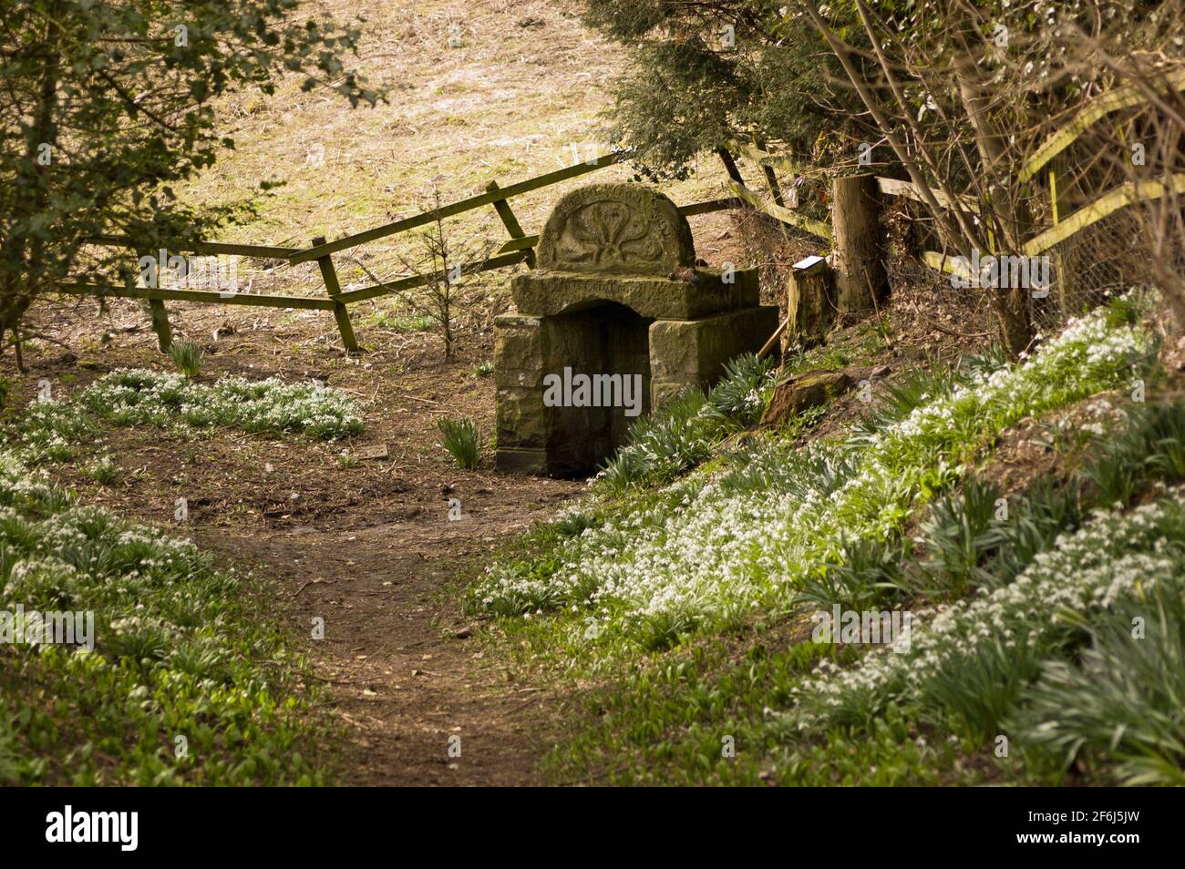 Path leading to the ancient pagan well known as Lady Well in Speen, Newbury, Berkshire. The well has been worshipped since before Roman times and offe Stock Photo