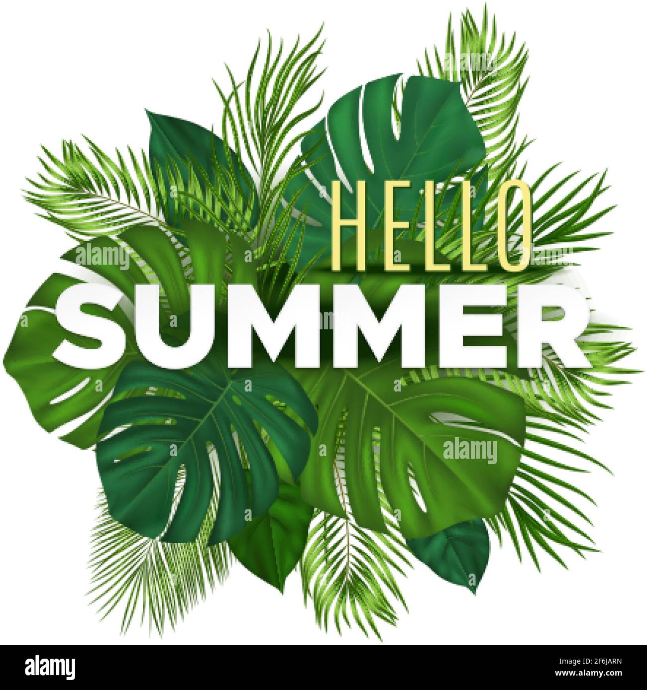 Summer tropical banner with green palm leaves on white background ...