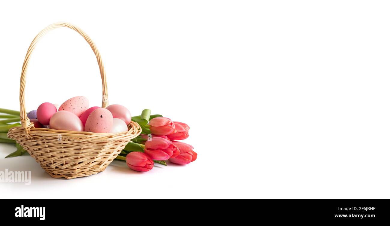 Easter pink eggs in a basket and a bouquet of pink red tulips isolated on a white background. Easter composition. Banner. Space for text. Stock Photo