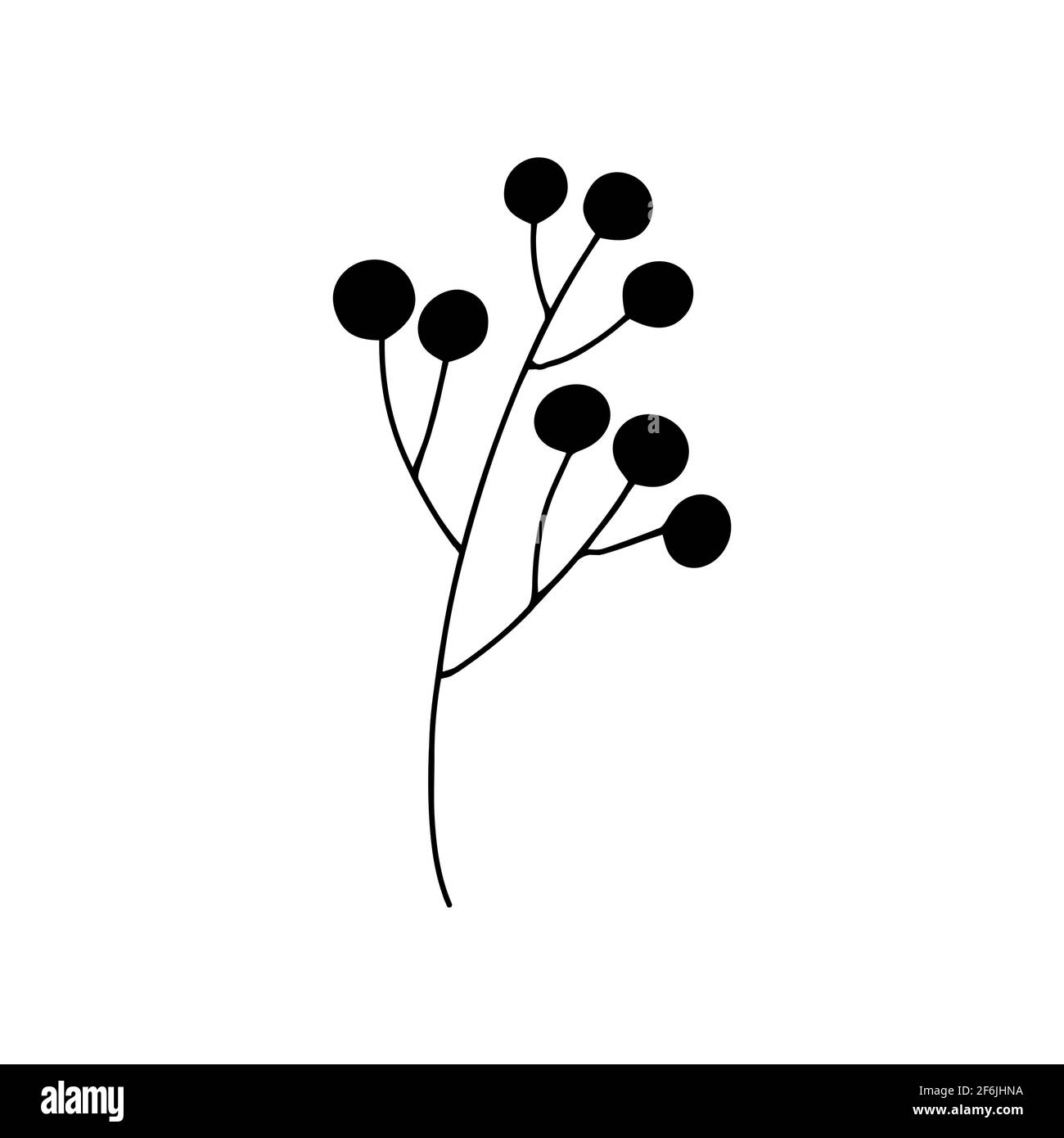 Sprig With Berries In Doodle Style Black And White Vector Isolated Illustration Spring And Summer Season Hand Drawn Branch Stock Vector Image Art Alamy