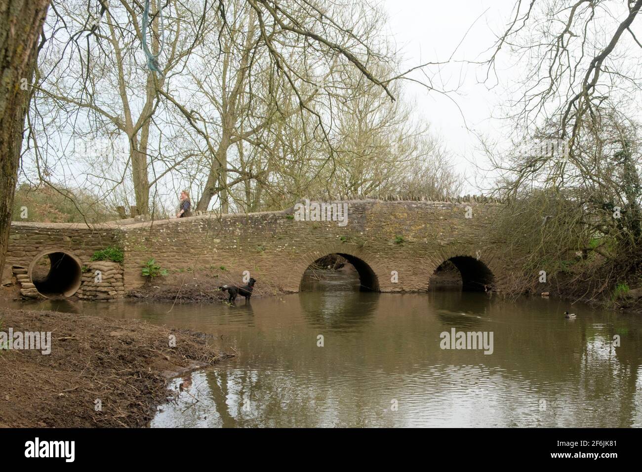 Nightingales bridge hires stock photography and images Alamy