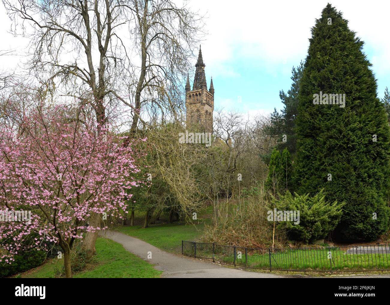 Glasgow, Scotland, UK. 1st Apr, 2021. Temperatures around 8 degrees centigrade with broken cloud meant a cold but pleasant walk as spring colours like this cherry blossom appear in Kelvingrove park at Glasgow University. Credit. Credit: Douglas Carr/Alamy Live News Stock Photo