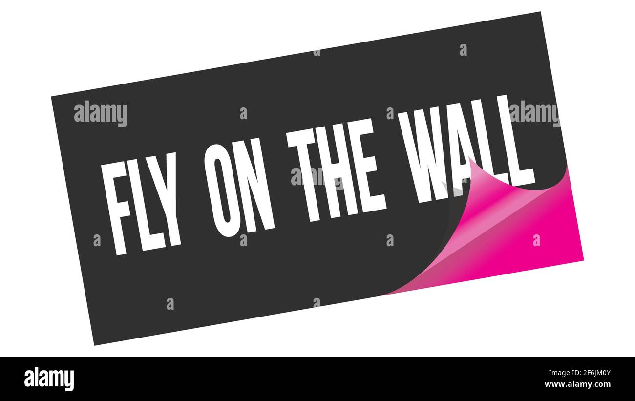 FLY ON THE WALL text written on black pink sticker stamp Stock Photo Alamy