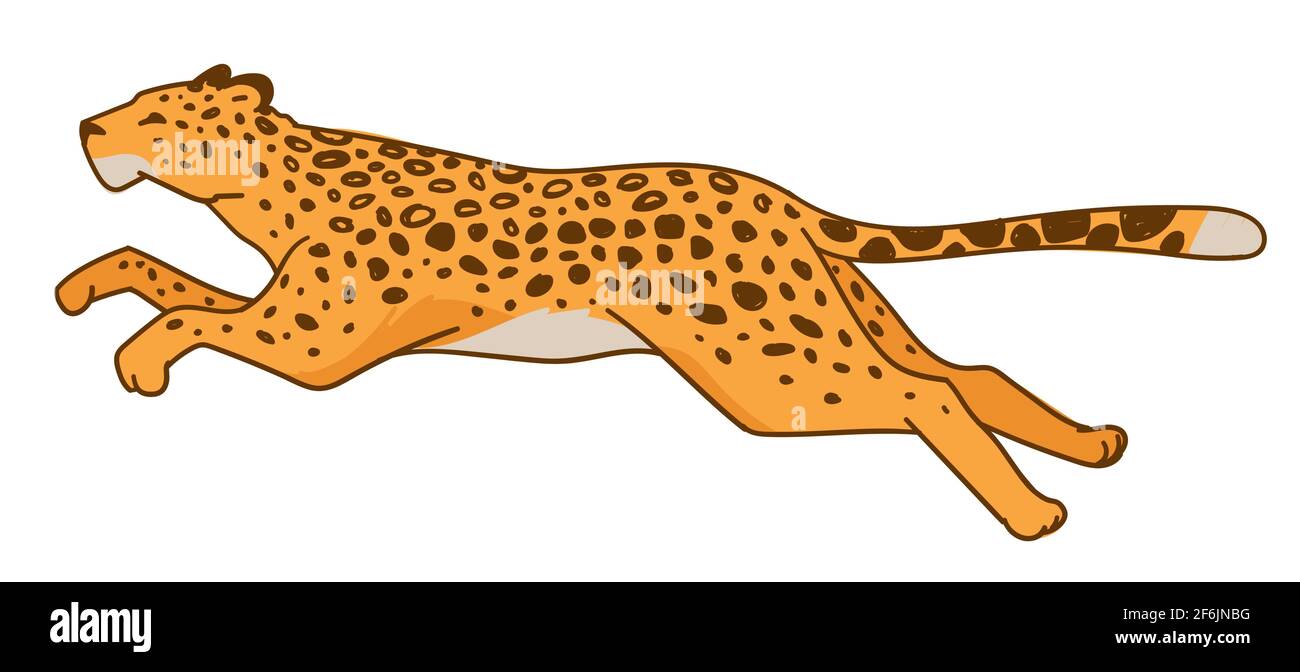 Running leopard or speedy cheetah predator animal Stock Vector
