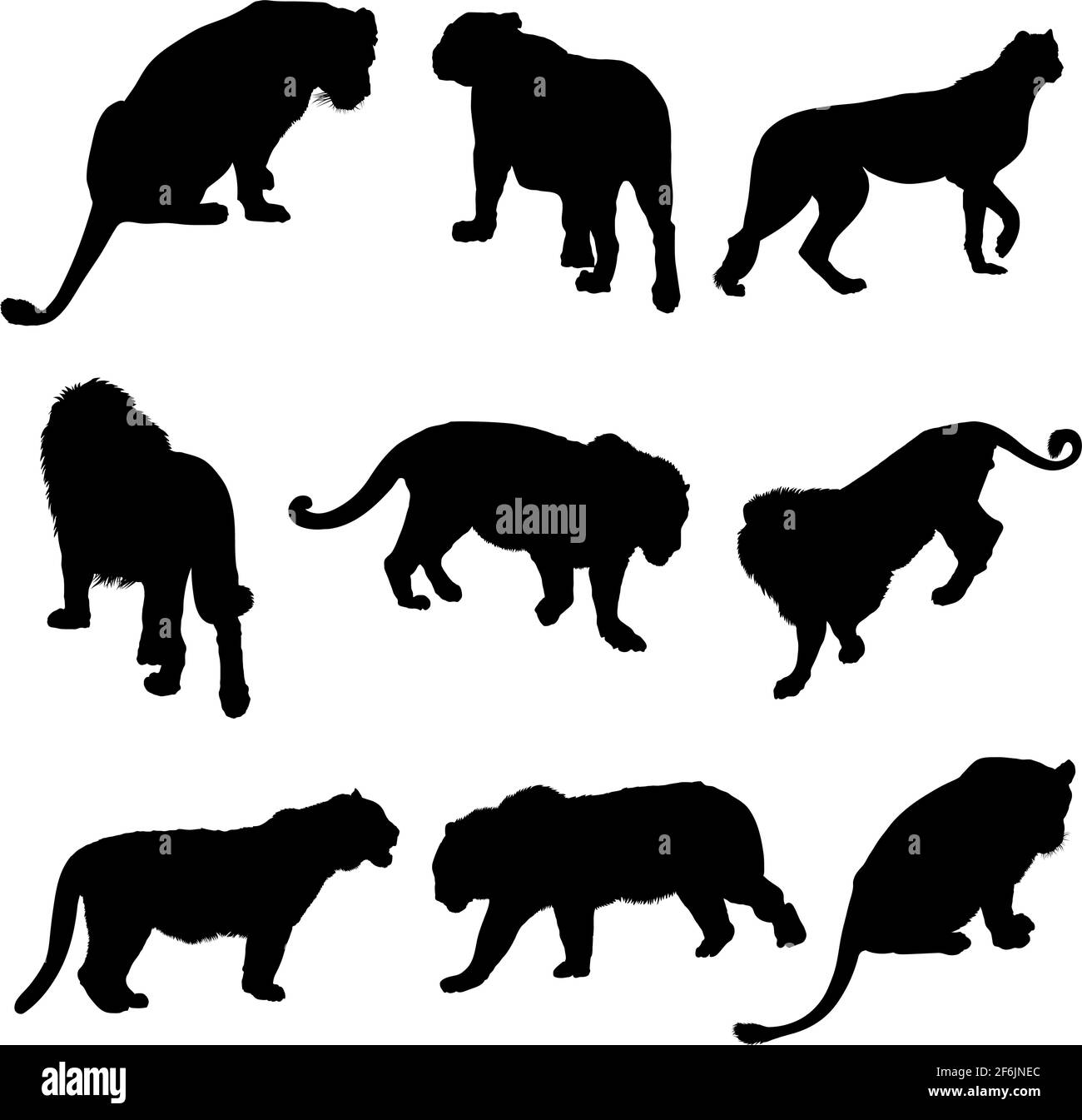 9 big cat silhouettes. Smooth and Clean Lines. High detailed big cat