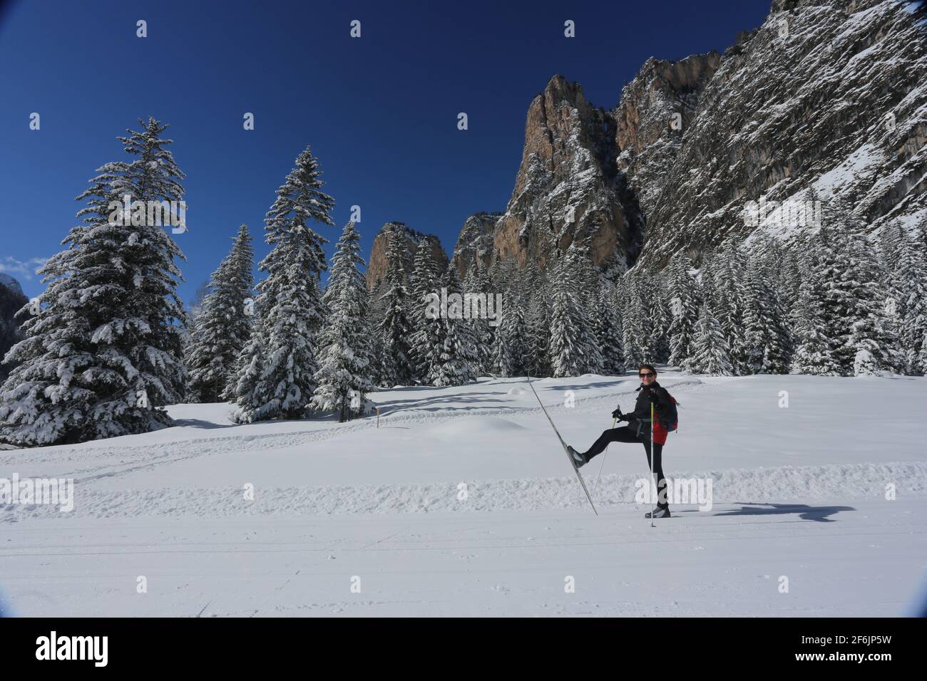 Dolomiten, Dolomiti, Südtirol, Italien, Skifahren, Langlauf im Langental bei Wolkenstein Stock Photo