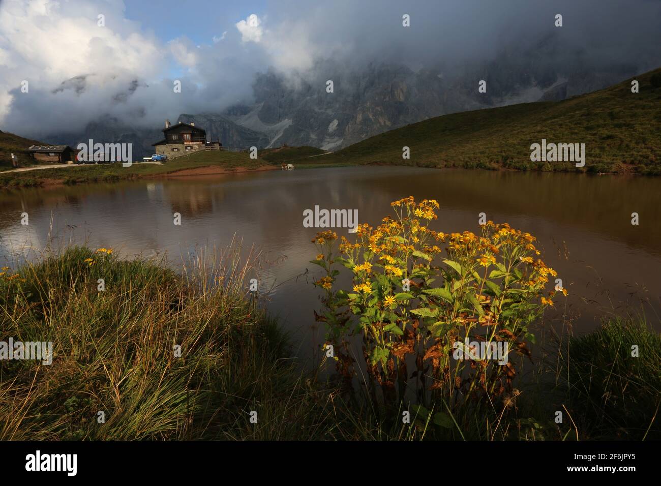 Dolomiten, Dolomiti, Südtirol, Trentino, Italien, Berghütte und Bergsee mit Blumen und Wolken am Rolle Pass oder Passo Rolle Stock Photo