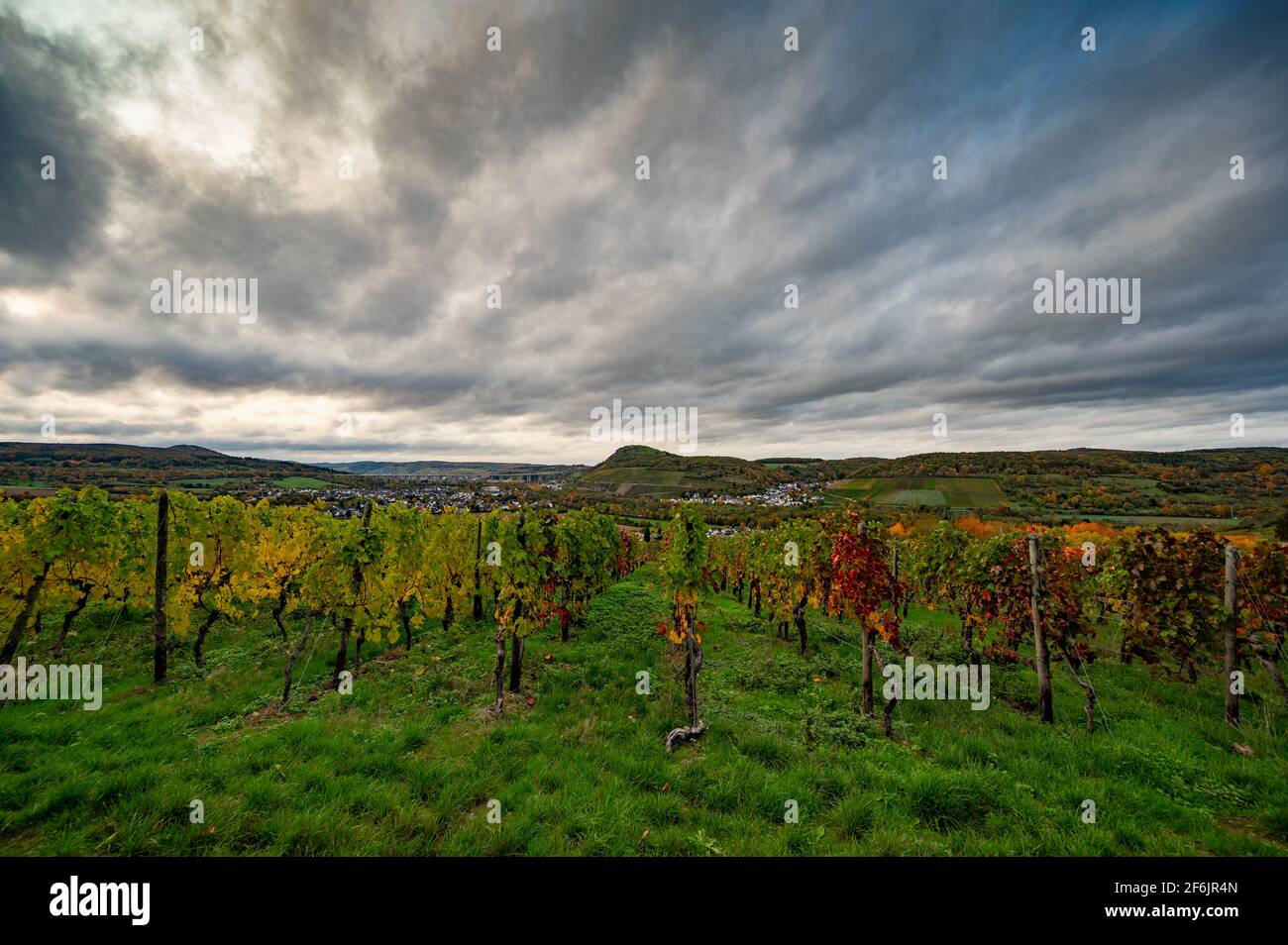 Vineyards in Germany's Ahr Valley during autumn Stock Photo