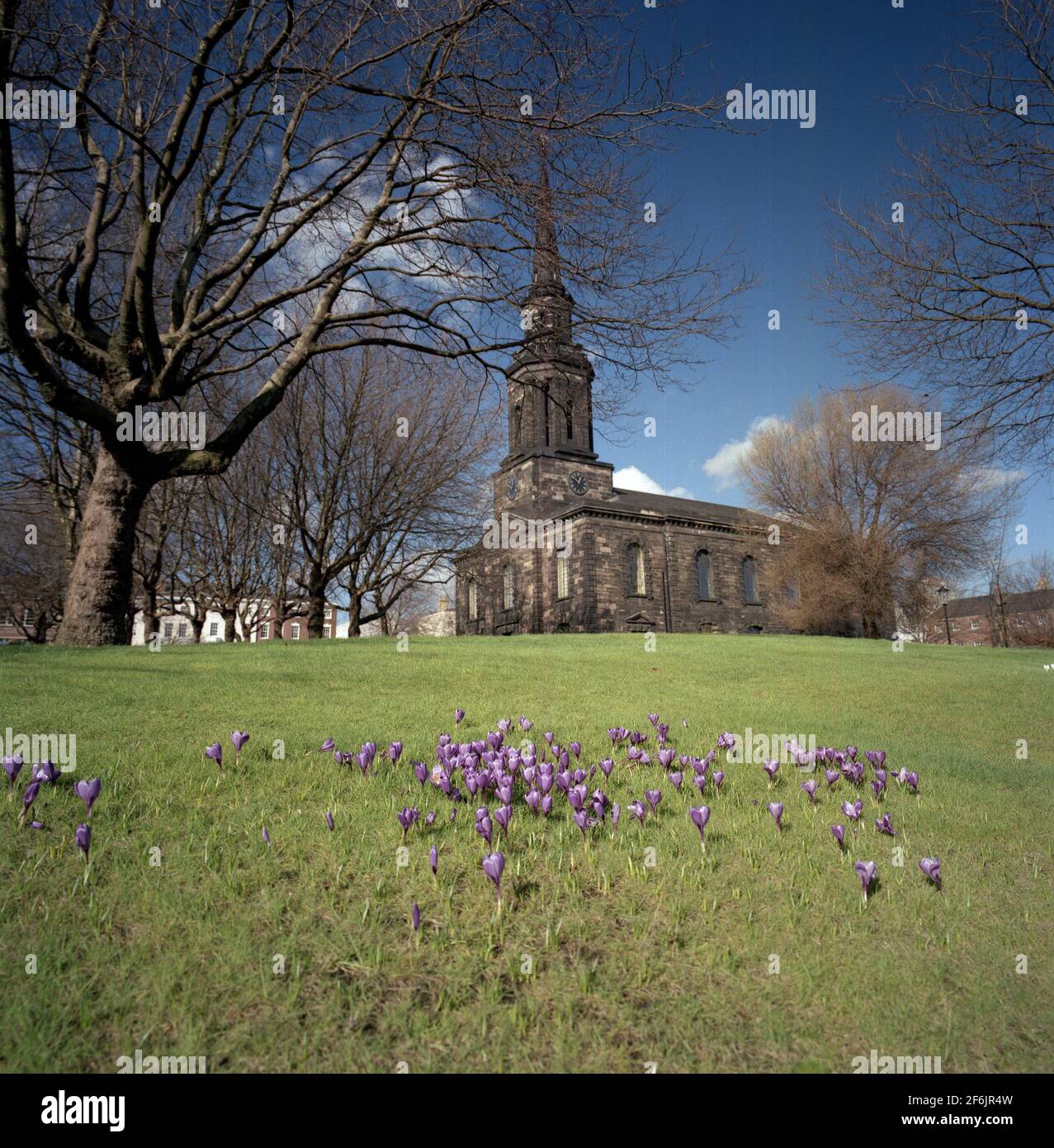 With a foreground of spring purple crocus is St Paul's is a Church of England church in the Georgian St Paul's Square in the Jewellery Quarter, Birmingham, England. The Grade I listed church[1][2] was designed by Roger Eykyns of Wolverhampton. Building started in 1777, and the church was consecrated in 1779. It was built on land given by Charles Colmore from his Newhall estate. It was the church of Birmingham's early manufacturers and merchants - Matthew Boulton and James Watt had their own pews, which were bought and sold as commodities at that time. Stock Photo