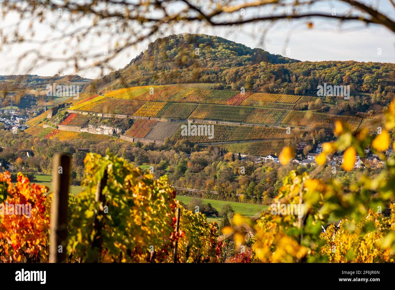 Vineyards in Germany's Ahr Valley during autumn Stock Photo
