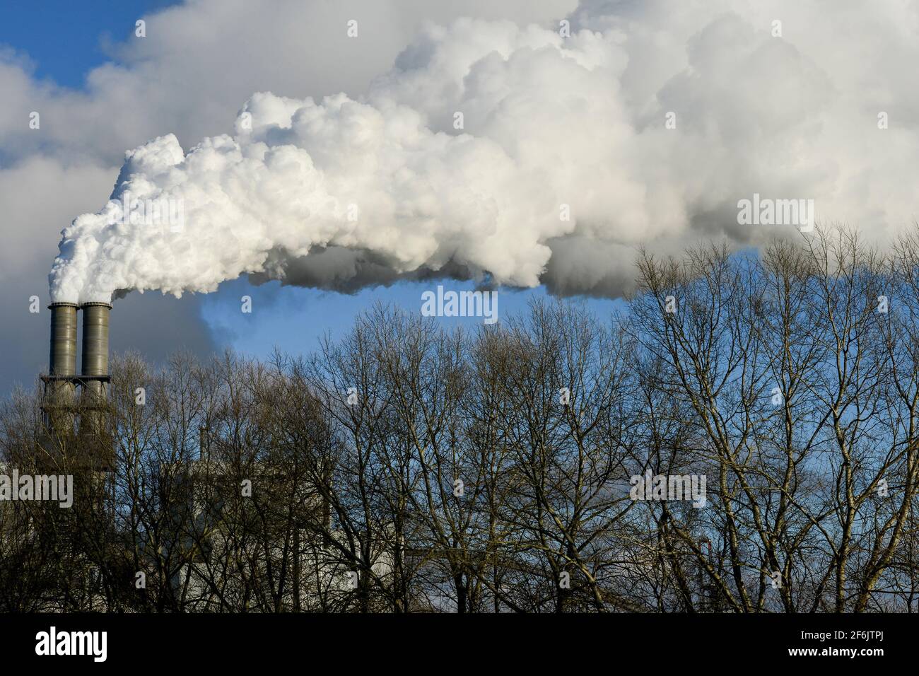 Germany, Hamburg, Vattenfall coal power station Moorburg, exhaust pipe with CO2 emission / DEUTSCHLAND, Hamburg, Vattenfall Kohlekraftwerk Moorburg, Emissionen Stock Photo