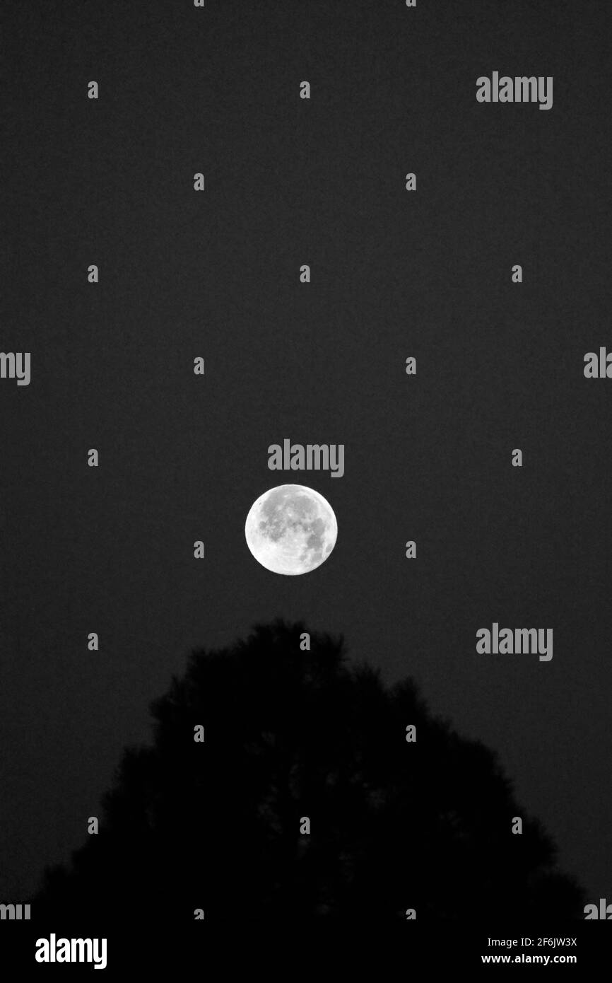 A full moon in New Mexico USA Stock Photo Alamy
