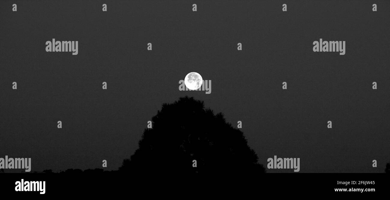 A full moon in New Mexico USA Stock Photo Alamy