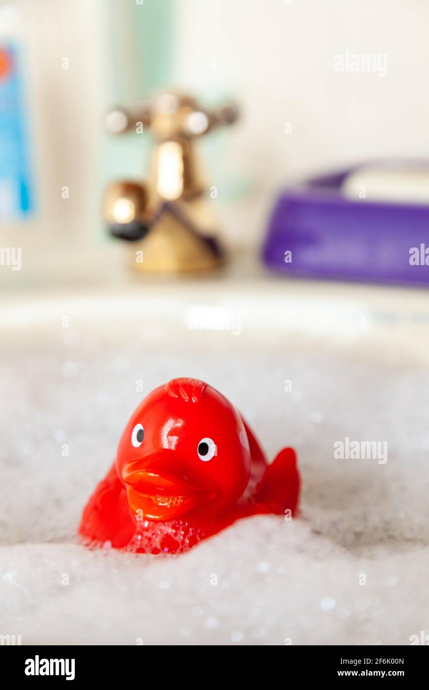 Rubber duck in bubble bath Stock Photo