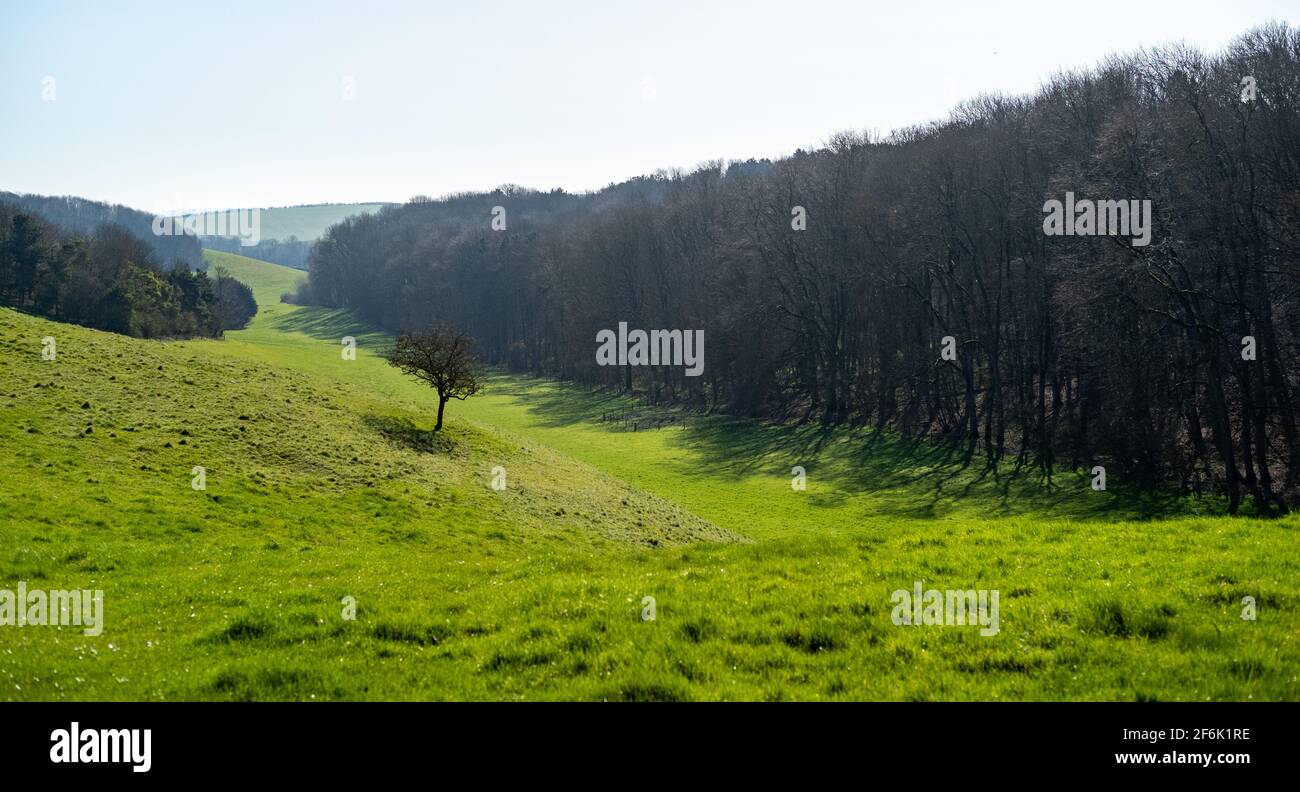 Lincolnshire Wolds in Spring Stock Photo