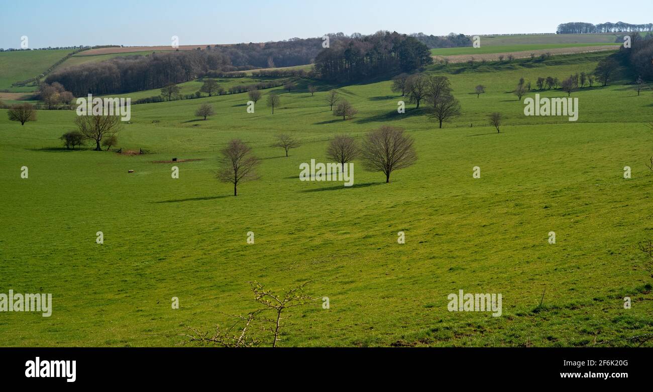 Lincolnshire Wolds in Spring Stock Photo