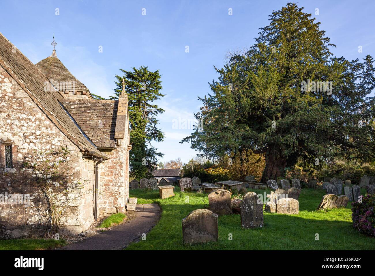 St Mary Magdalene church, set in a circular churchyard, at Hewelsfield in the Forest of Dean, Gloucestershire UK - showing its ancient 8th C yew tree. Stock Photo