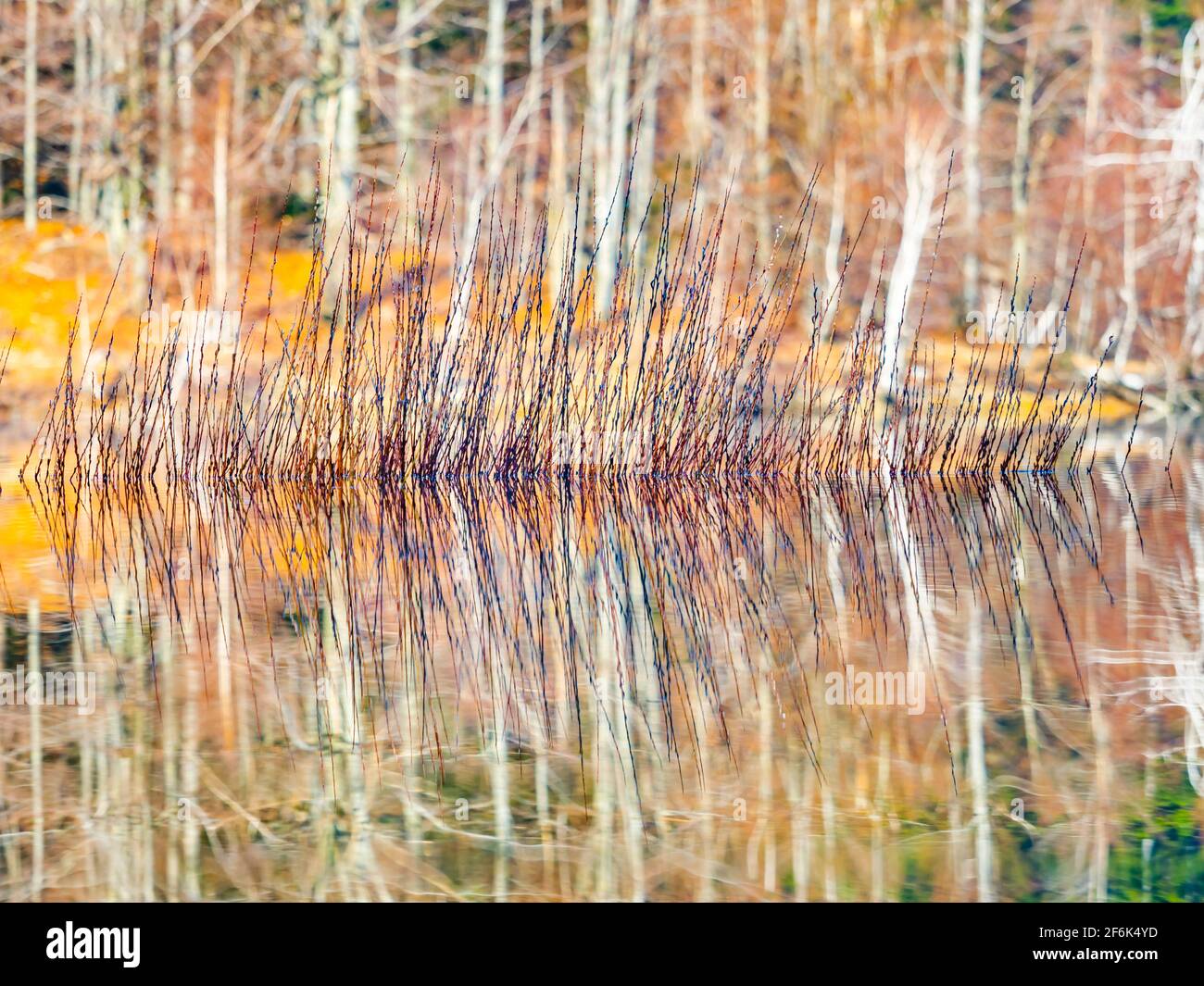 Lokve lake in Croatia Europe Stock Photo