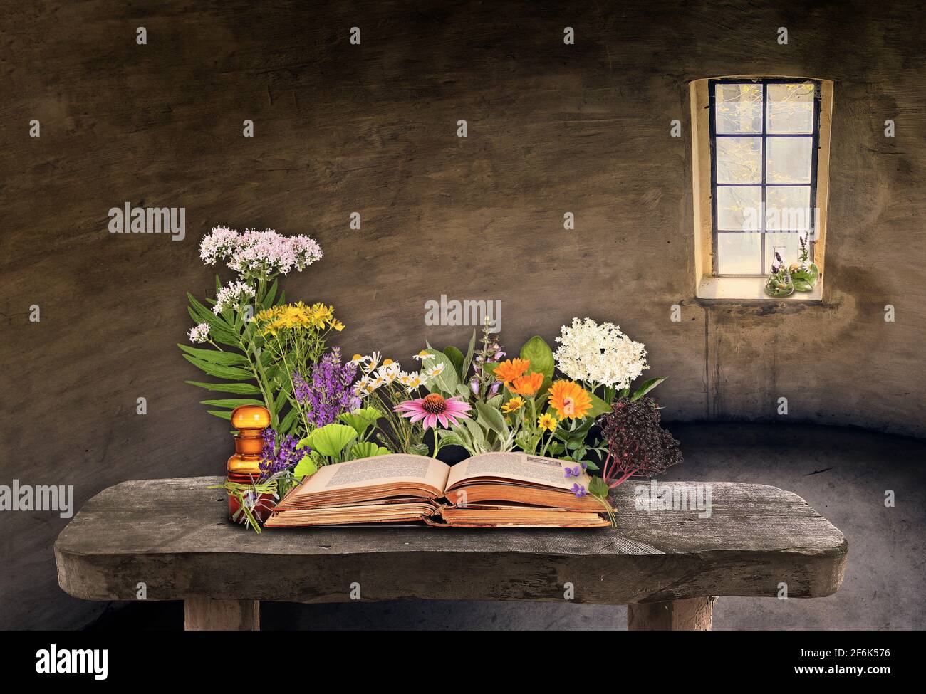 Medicinal plants of nature with old books and medicine bottles Stock Photo