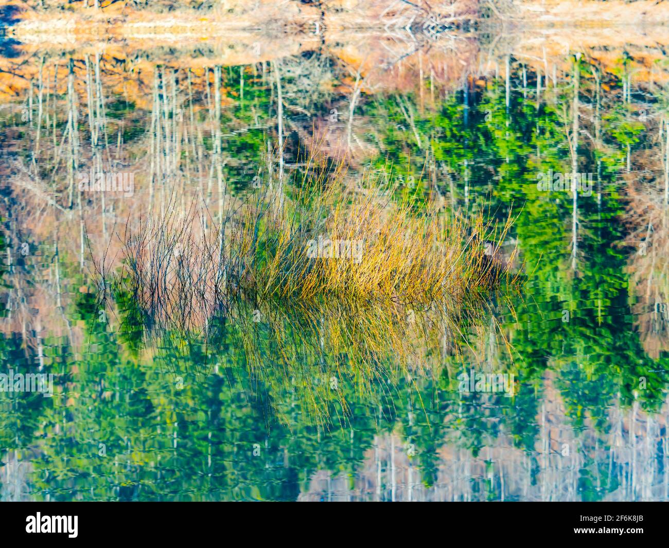 Picturesque peaceful tranquility zen Lokve lake in Croatia Europe Stock Photo