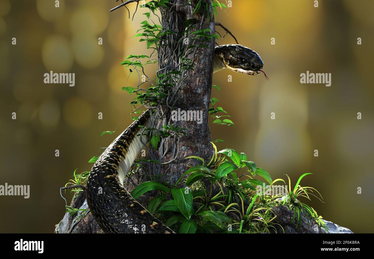 Snake coiling around tree hi-res stock photography and images - Alamy