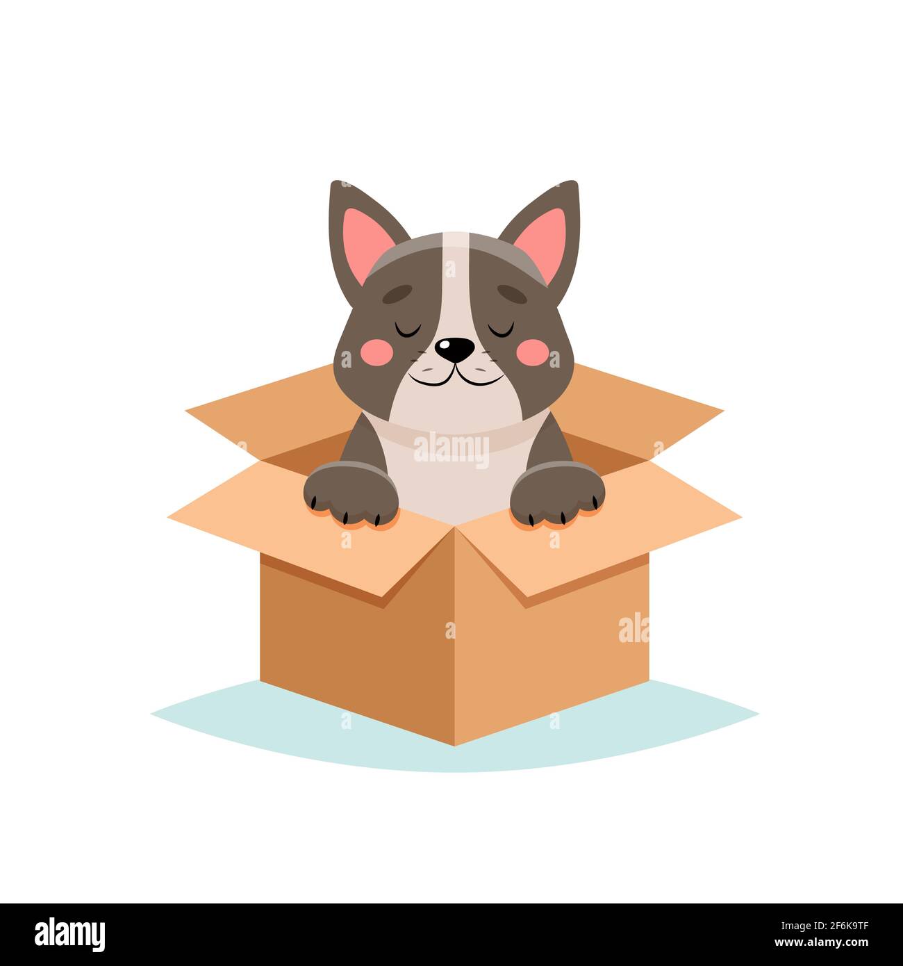 Dog in a box hi-res stock photography and images - Alamy