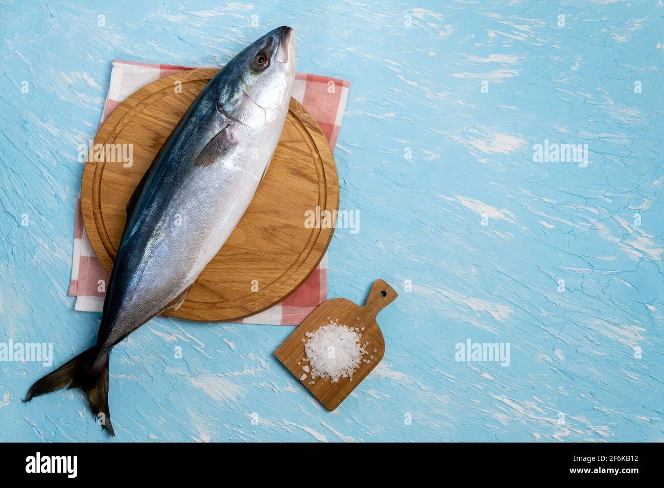 Greater amberjack Seriola dumerili on a blue background. top view Stock Photo