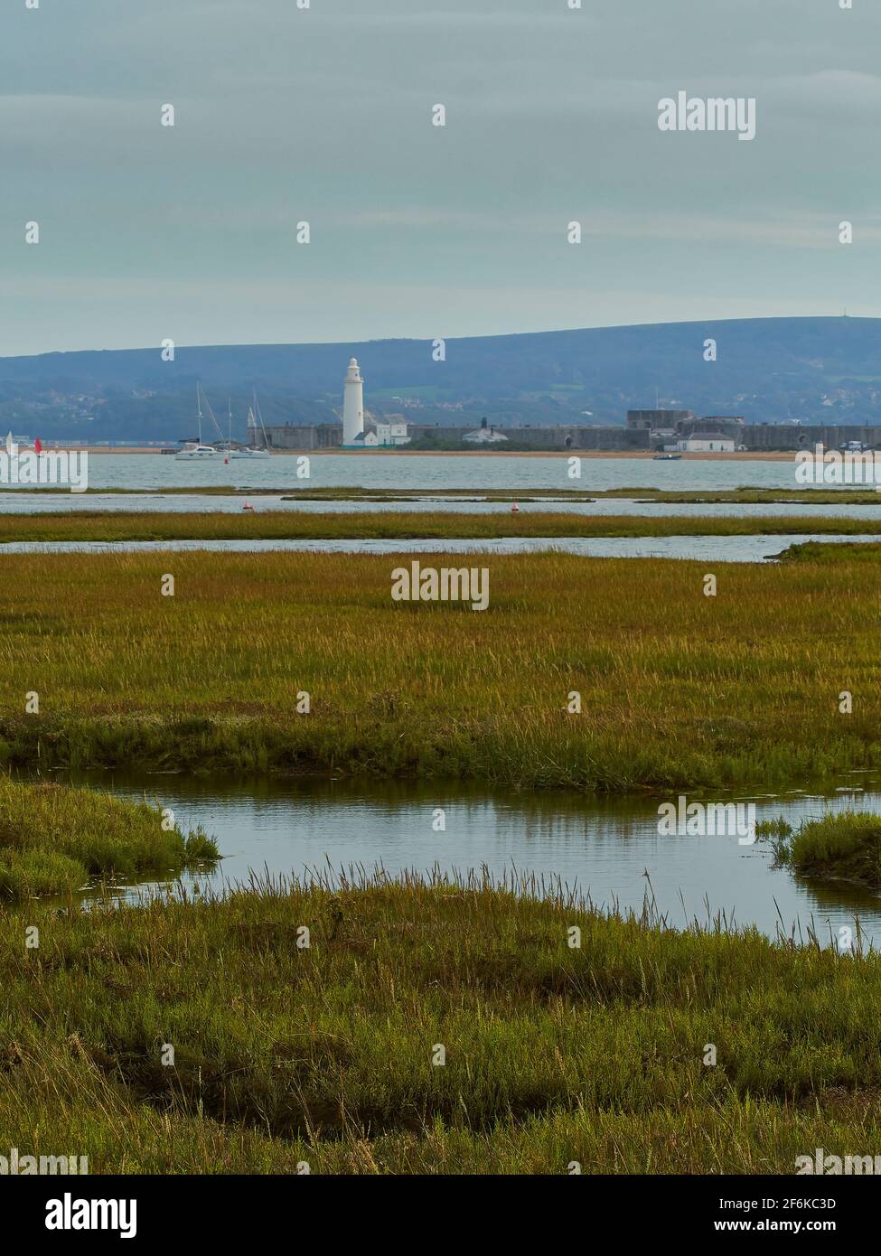 A creek runs through lush, long grass. In the background, the Solent appears before a lighthouse, a small flotilla of yachts and olling hills. Stock Photo