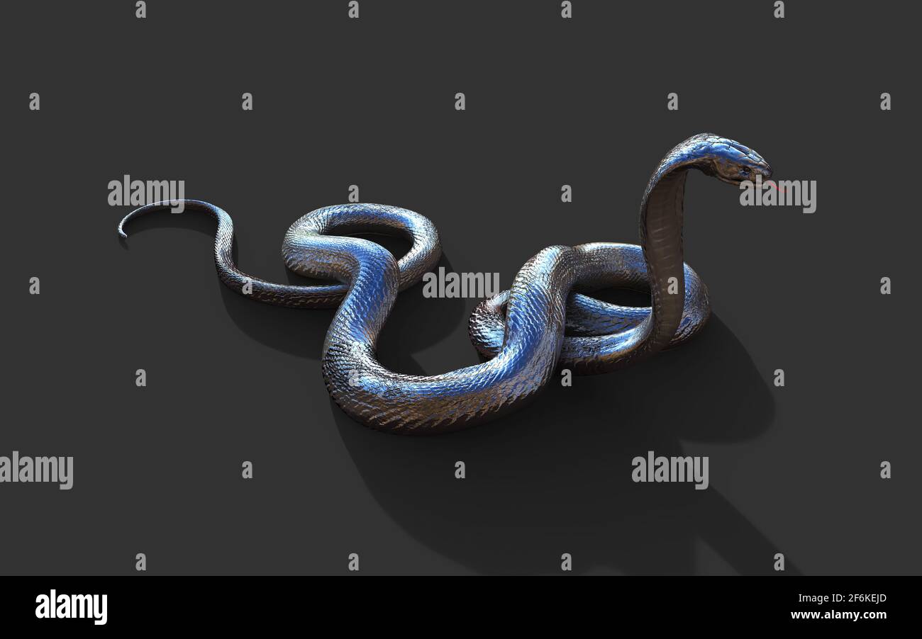 3d Illustration King Cobra The World's Longest Venomous Snake Isolated on Black Background, King Cobra Snake, 3d Rendering Stock Photo