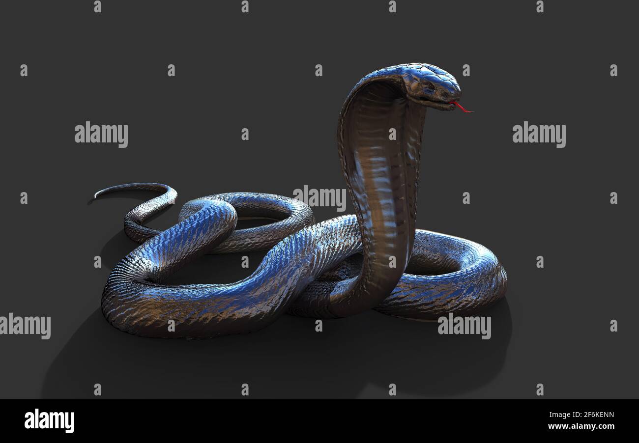 3d Illustration King Cobra The World's Longest Venomous Snake Isolated on Black Background, King Cobra Snake, 3d Rendering Stock Photo