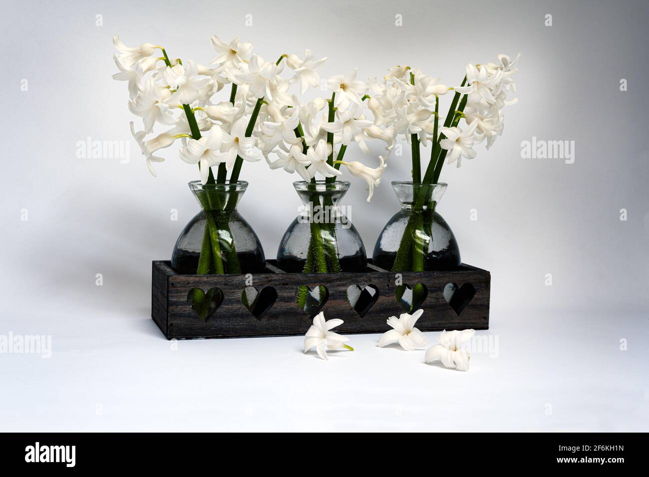 Bouquets of white Hyacinths  in small glass vases on a white background Stock Photo
