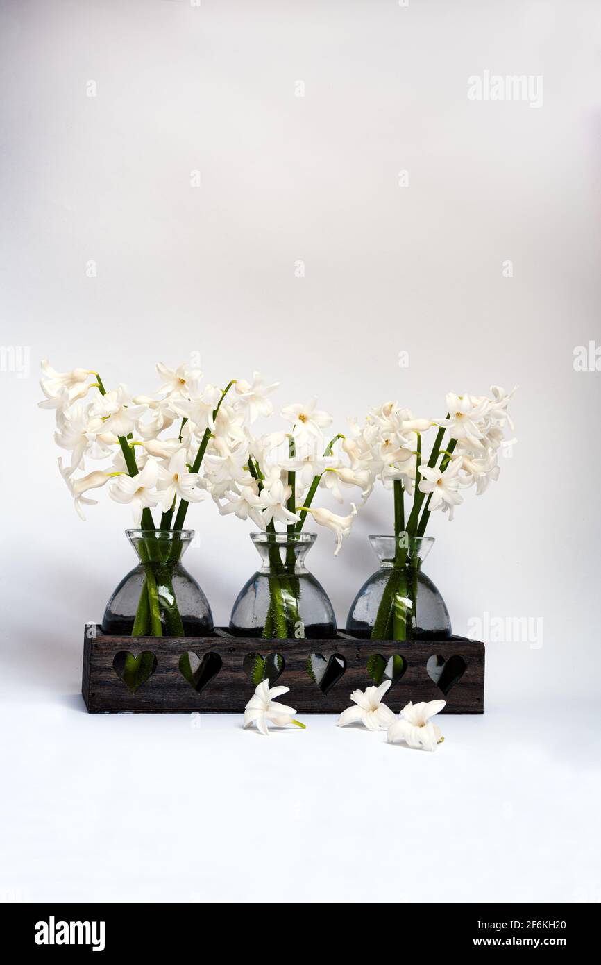 Bouquets of white Hyacinths  in small glass vases on a white background Stock Photo