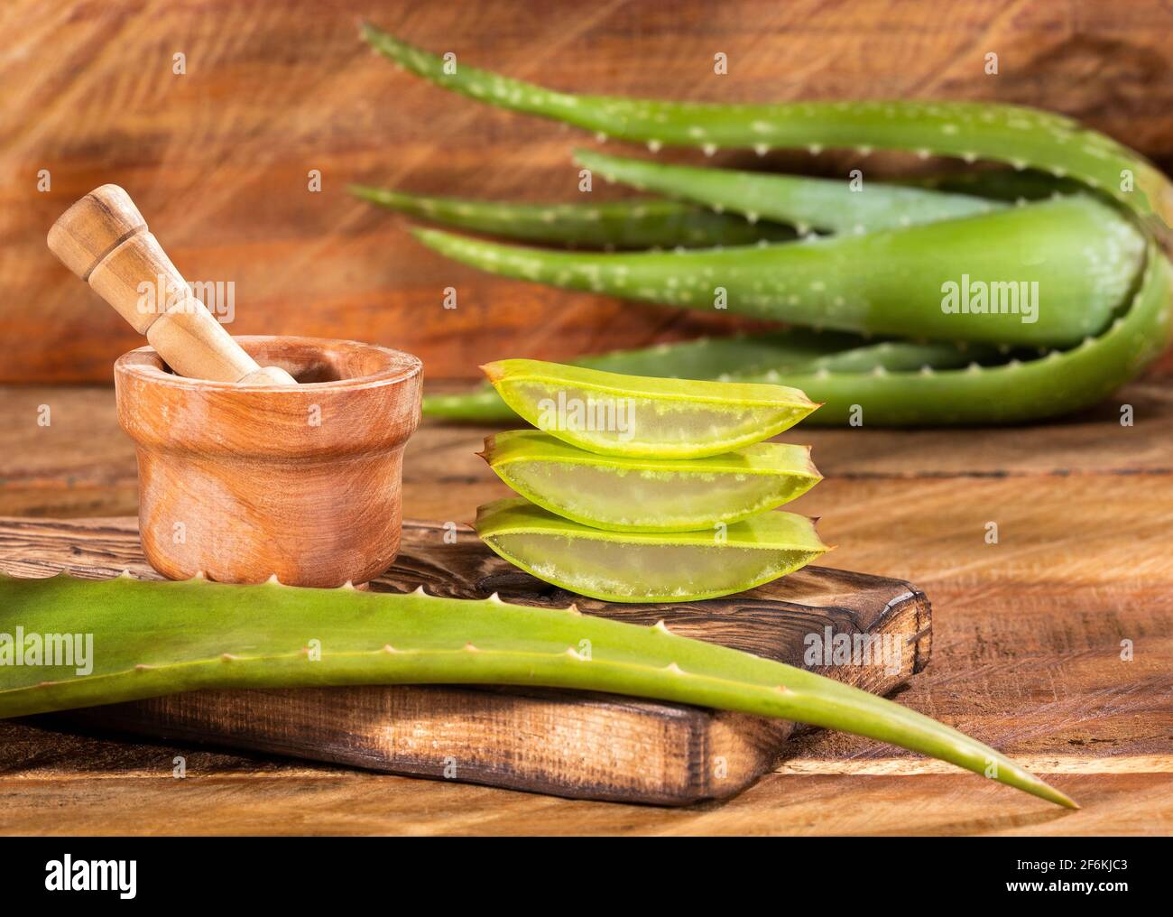 Aloe Vera plant with medicinal properties and cosmetic uses Stock Photo