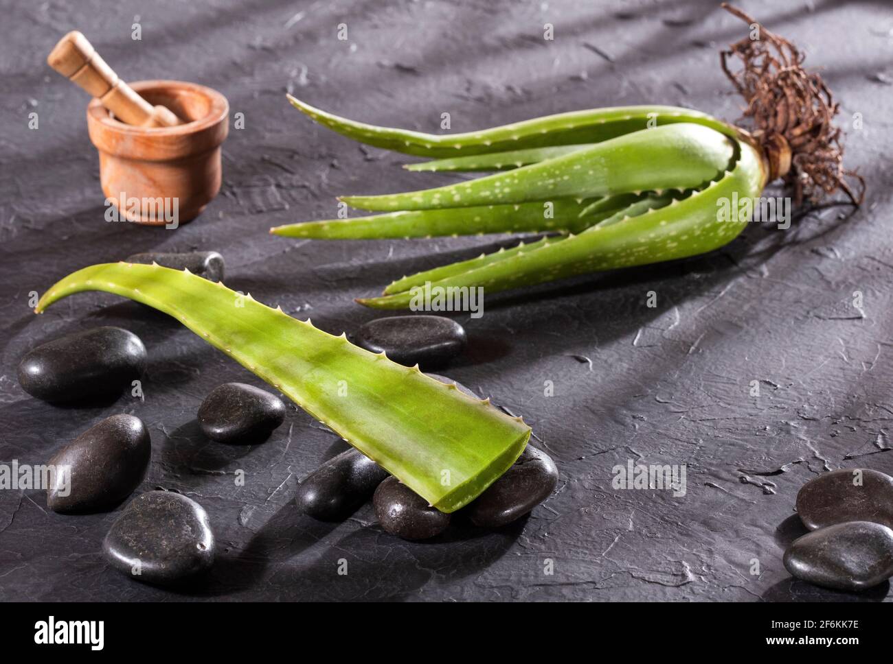 Aloe vera fresh cut Text space Stock Photo Alamy