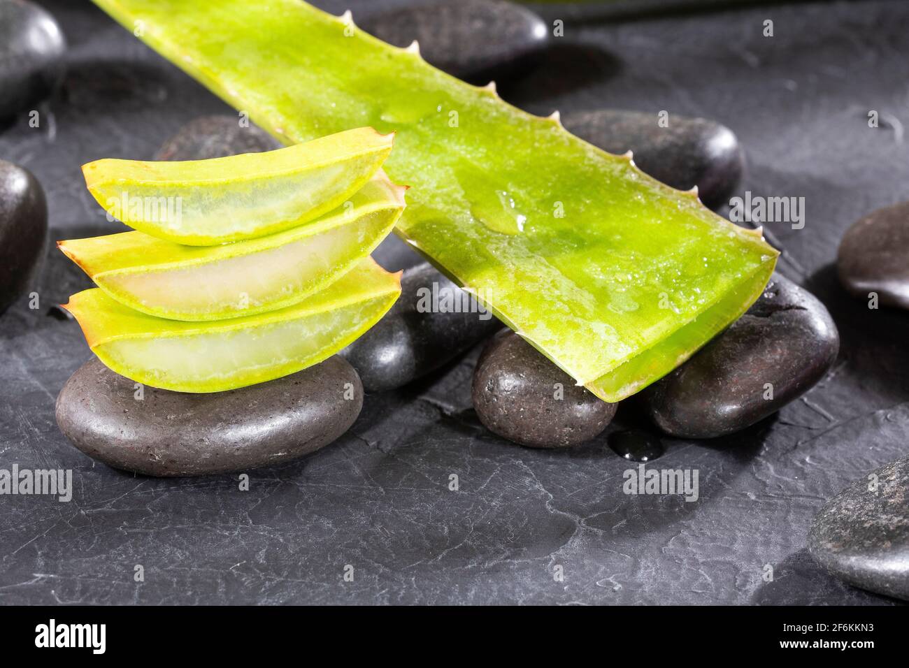 Aloe Vera plant with medicinal properties and cosmetic uses Stock Photo