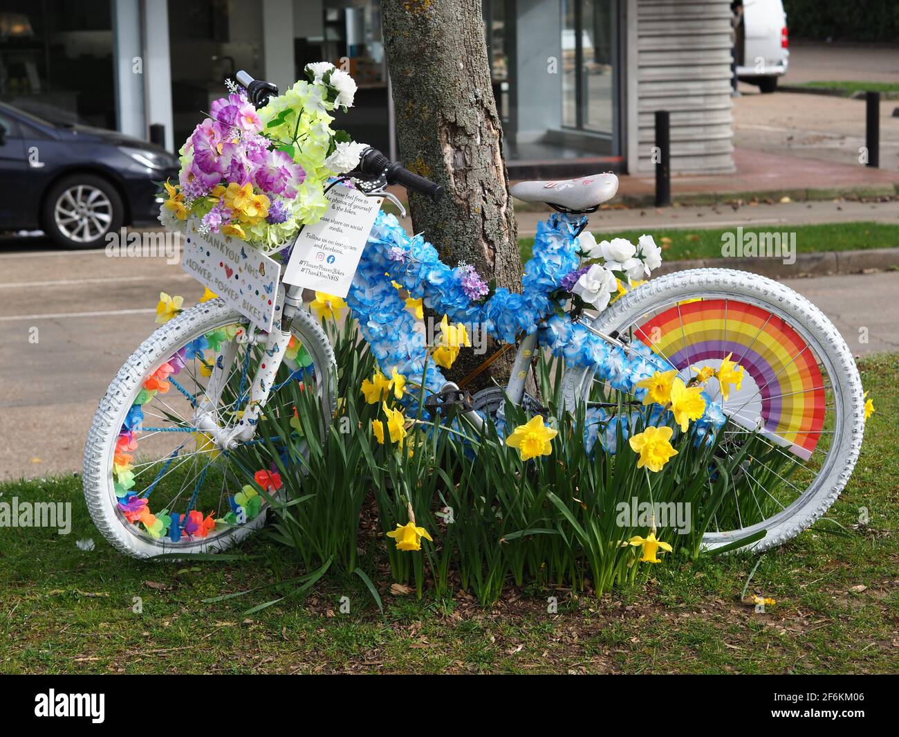 Flowers To Cheer You Up High Resolution Stock Photography And Images Alamy Flowers To Cheer You Up High Resolution Stock Photography And Images Alamy