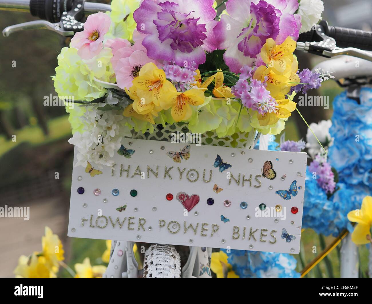 Flowers To Cheer You Up High Resolution Stock Photography And Images Alamy Flowers To Cheer You Up High Resolution Stock Photography And Images Alamy